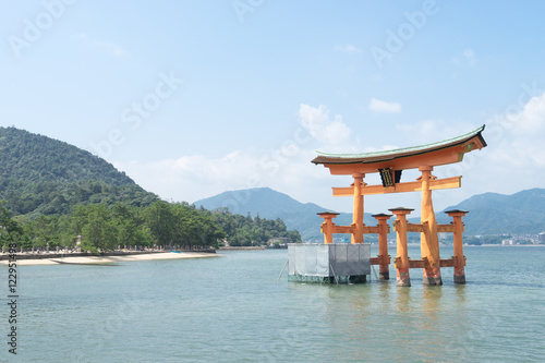 補修工事中の厳島神社大鳥居 6