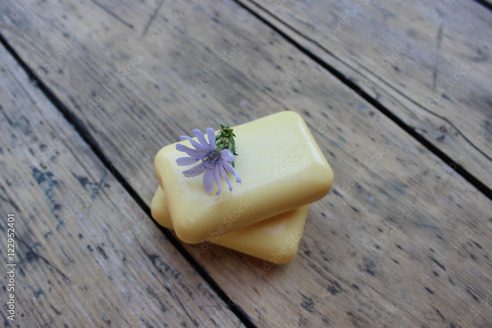 Natural soap and flower chicory Natural soap and flower chicory