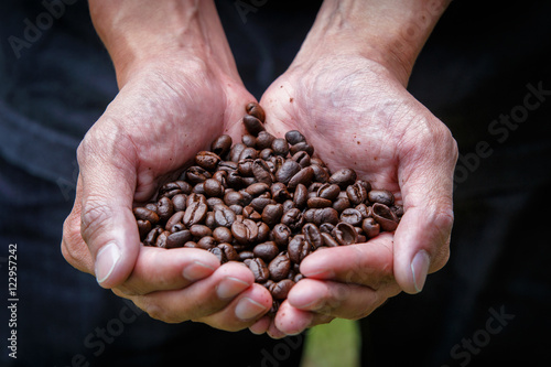 Holding coffee beans in the hands