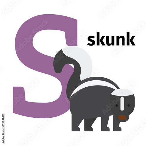 English animals zoo alphabet with letter S. Skunk vector illustration
