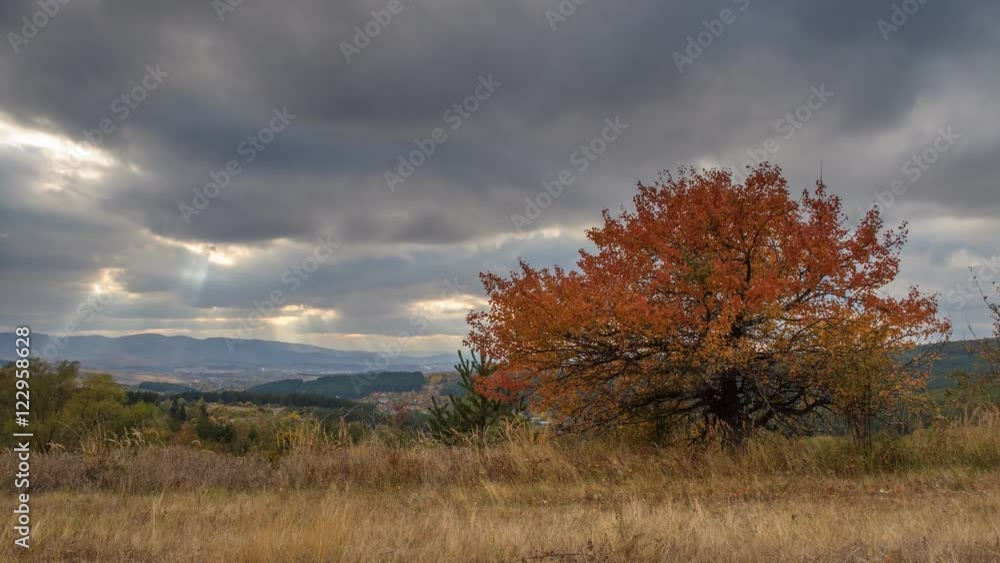 Beautiful autumn landscape timelapse with fast moving clouds, rays of light running in the distance and a single orange tree in the foreground 