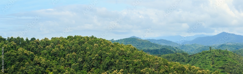 Mountain green forests with  nature landscape , cloud  cover .