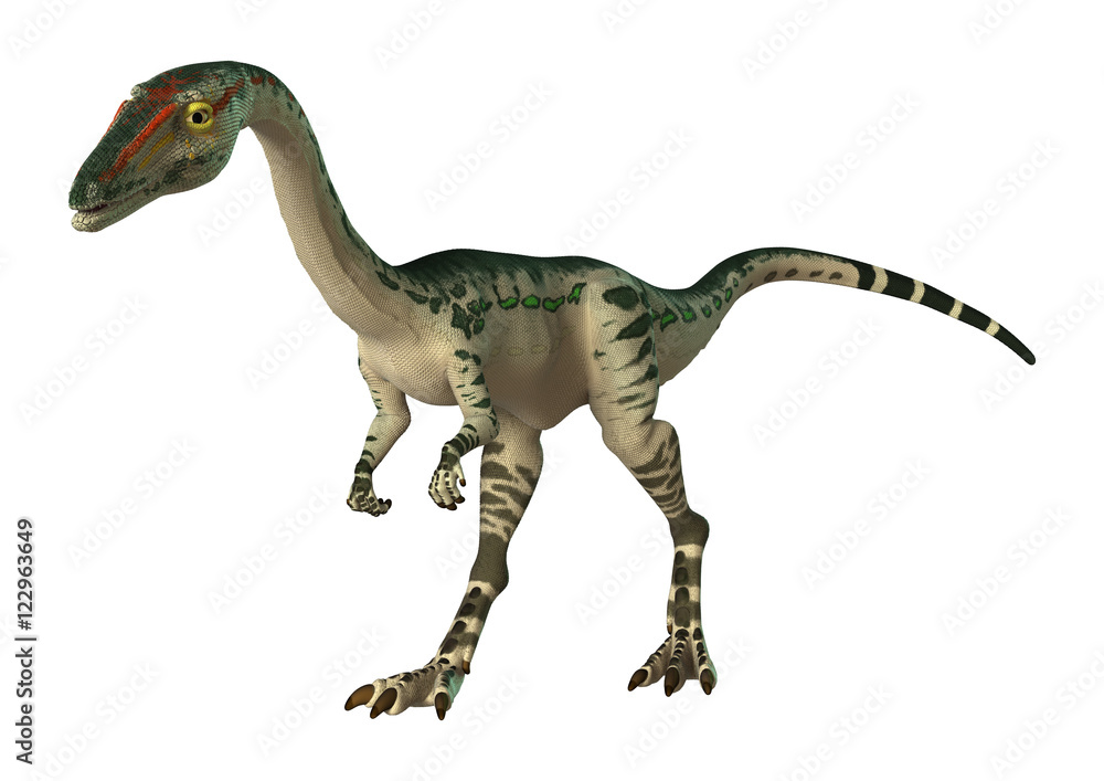 3D Rendering Dinosaur Coelophysis on White 3D Rendering Dinosaur Coelophysis on White