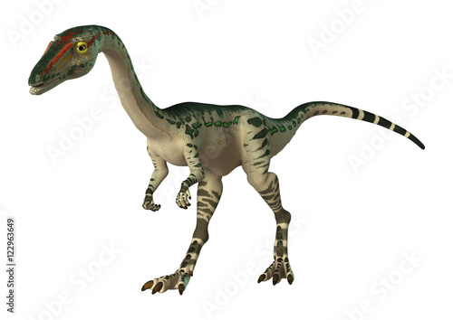 3D Rendering Dinosaur Coelophysis on White © photosvac