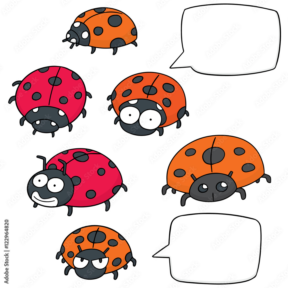 Fototapeta premium vector set of ladybug