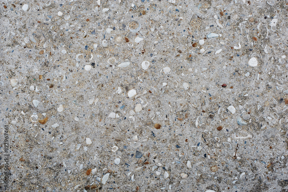 Texture of asphalt road texture with seashell Texture of asphalt road texture with seashell