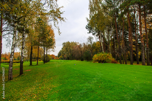 Early autumn in Russia, some of the trees already yellow and red