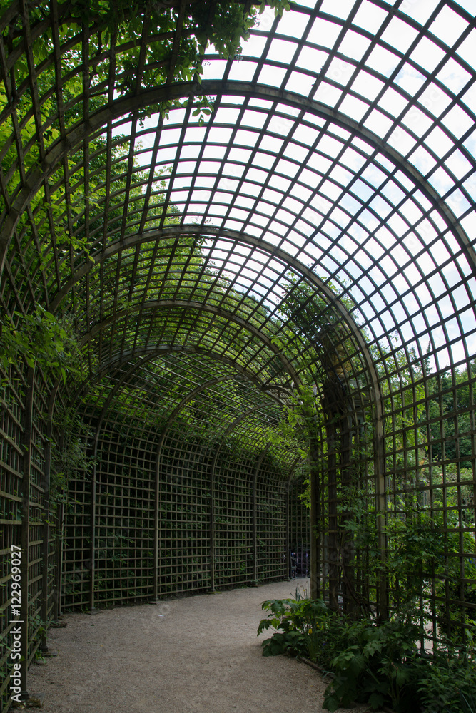 Foto Stock Wooden pergola like a tunnel with trees on a side. Park in  Versalles, France. | Adobe Stock
