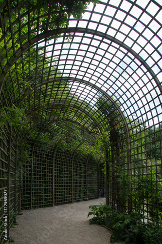 Wooden pergola like a tunnel with trees on a side. Park in Versalles, France.