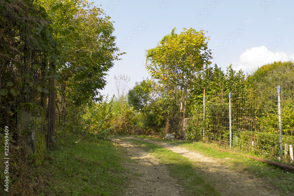 Obraz premium .сельская дорога