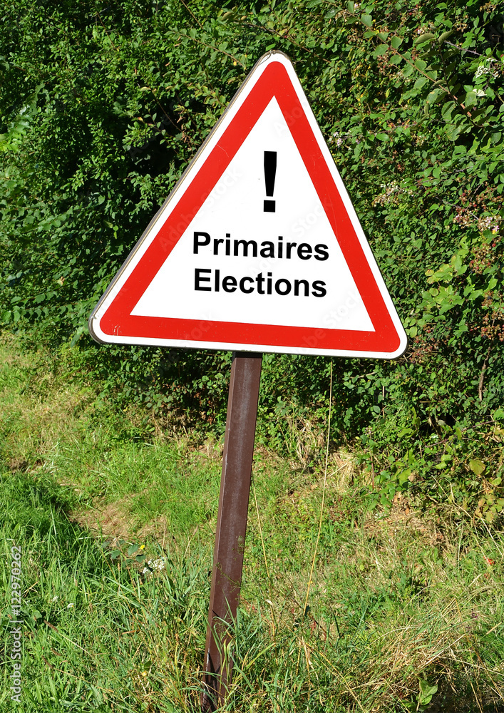 Elections 2017 en France