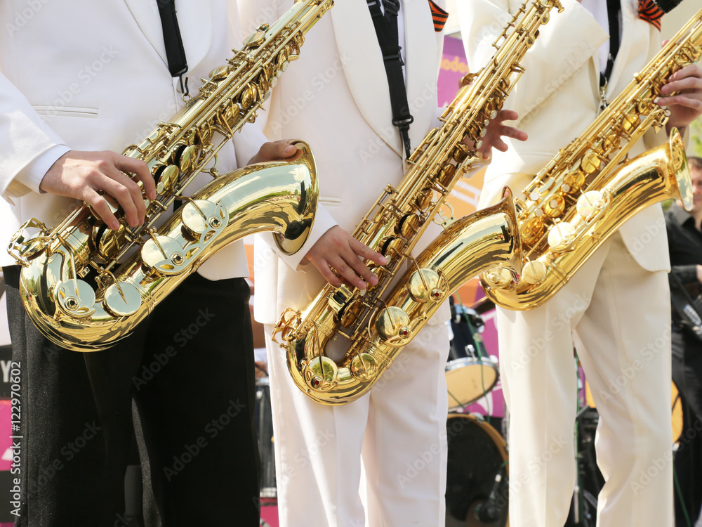 Obraz premium Performance of the brass band