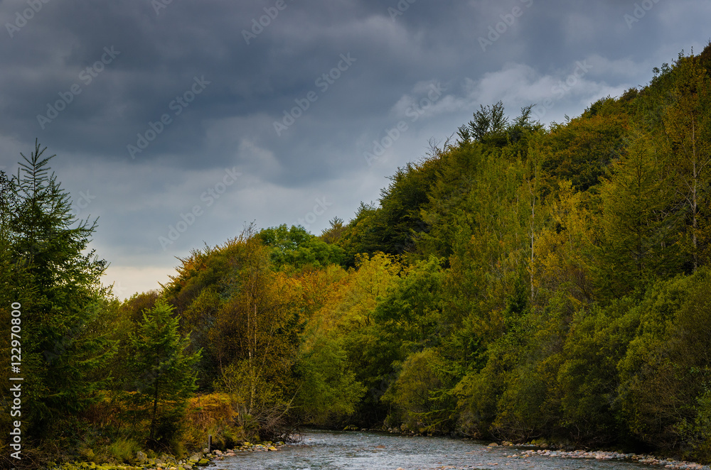 Autumn glory Autumn glory