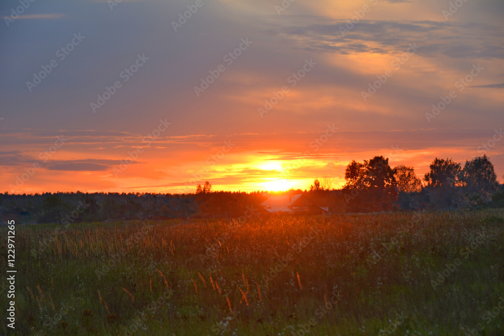 Fototapeta premium Sunset in the field