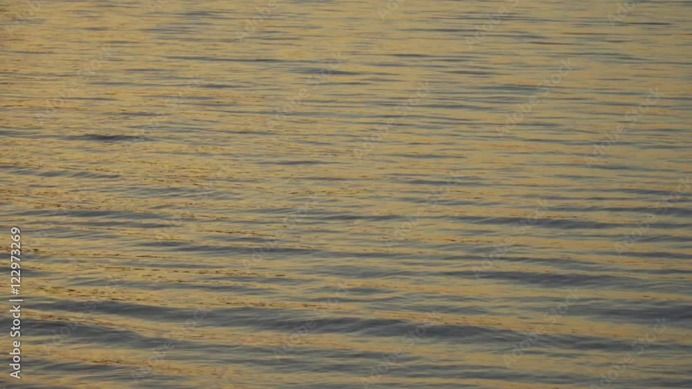 Beautiful bewitching excitement of the water. The movement of water. Beautiful bewitching excitement of the water. The movement of water.
