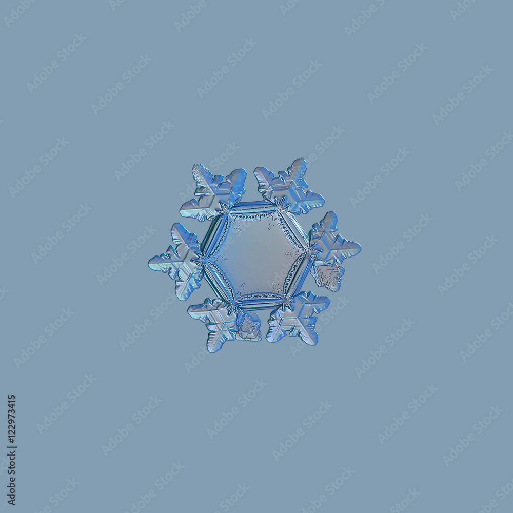 Snowflake Backround Rim Snowflake isolated on pale blue background. This is macro photo of real ...