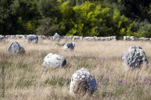 Megalithic alignment of Menec, town of Carnac, departament of Morbihan, Brittany, France photo