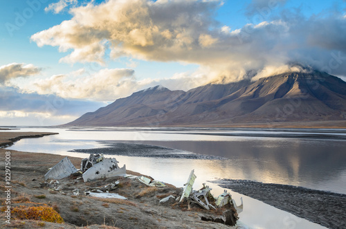 Wreckage of world war two plane in High Arctic landscape