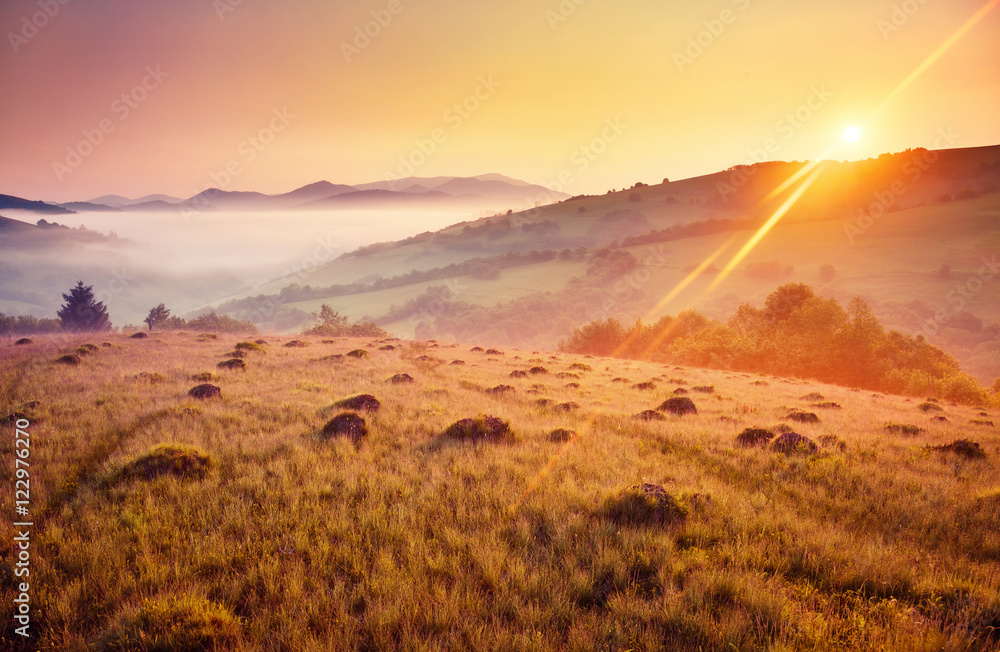 Obraz premium Majestic summer landscape