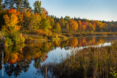 Early October, late golden afternoon sunshine on Cory Lake in Chalk River Ontario, Canada.