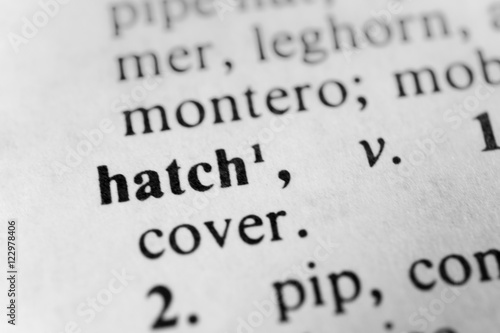 Hatch photo