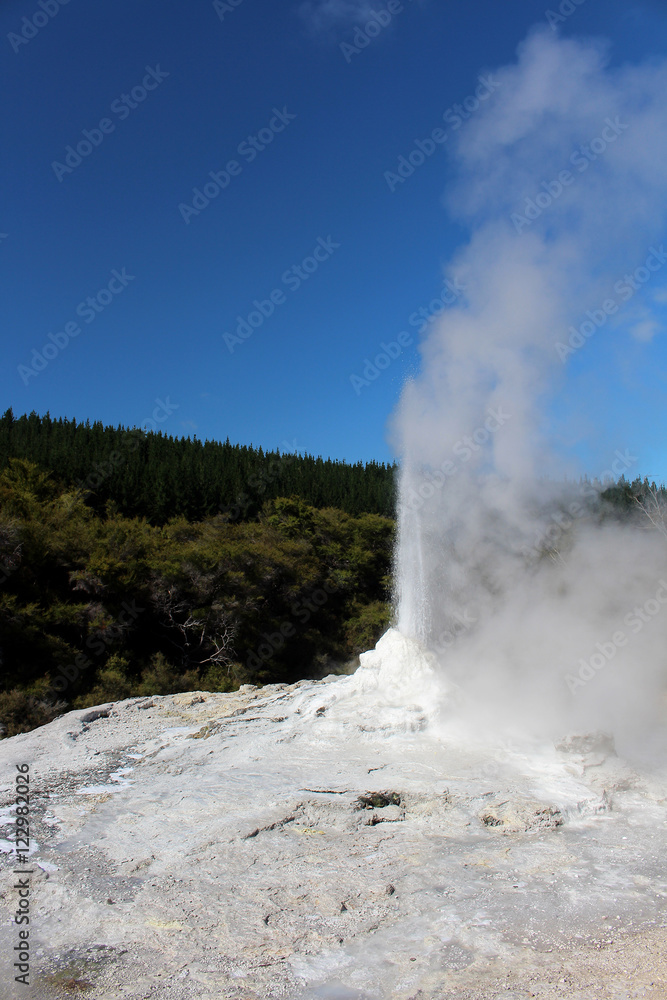 Fototapeta premium Lady Knox Geysir