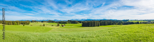 Grüne Wiesenlandschaft im  Allgäu, Panorama