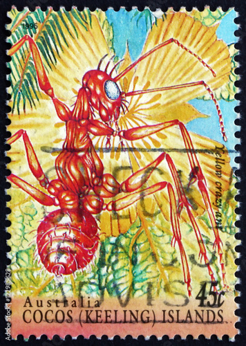 Postage stamp Cocos Islands 1995 Yellow Crazy Ant photo