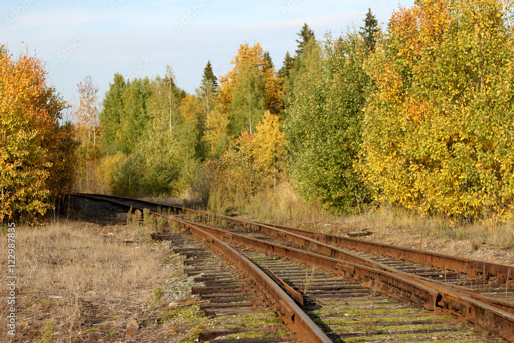 Заброшенная железная дорога в осеннем лесу