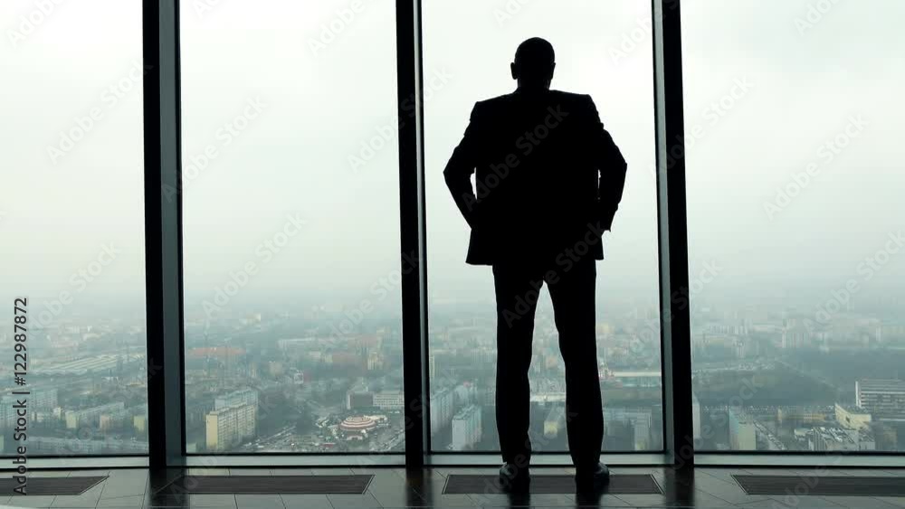 Silhouette of businessman admire view through window in office
Silhouette of businessman admire view through window in office