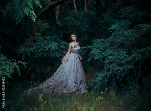 Beautiful girl in a gorgeous long dress, walk among the trees .