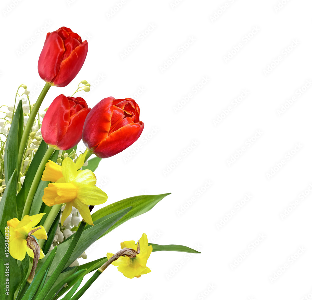 The branch of lilies of the valley flowers isolated on white bac The branch of lilies of the valley flowers isolated on white bac