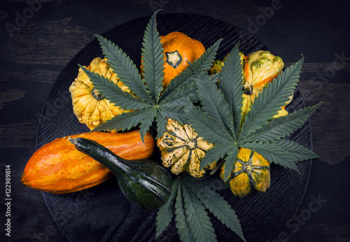 Thanksgiving background with autumnal squash, gourds and cannabi