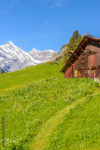 View of beautiful landscape in the Alps with fresh green meadows and snow-capped mountain tops in the background on a sunny day with blue sky and clouds in springtime.