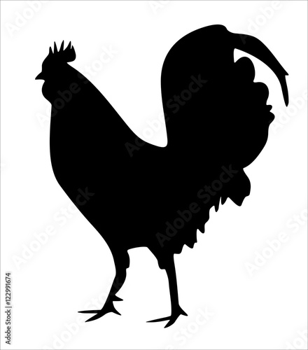vector chicken silhouette