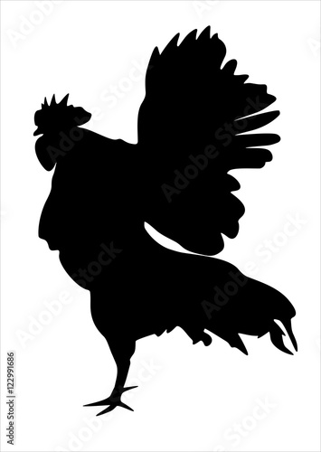 vector chicken silhouette