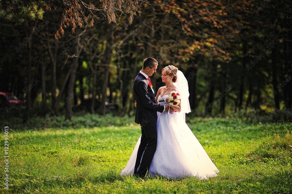 Young and gorgeous wedding couple on autumn forest