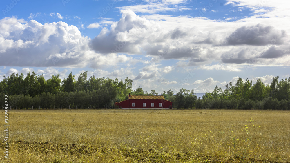 Fototapeta premium red house