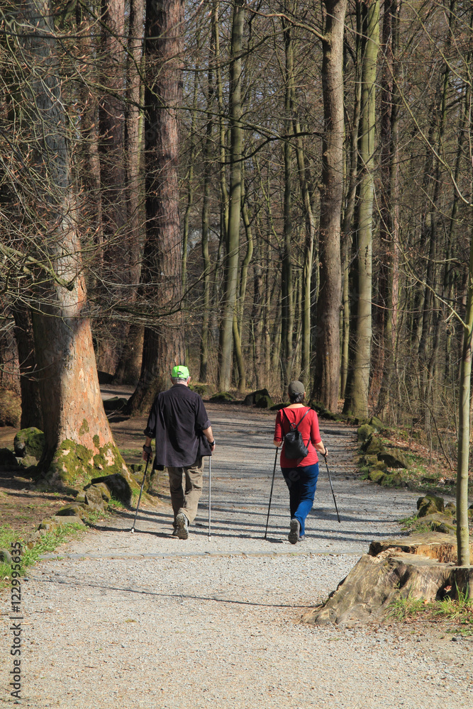 Fototapeta premium lone hiker