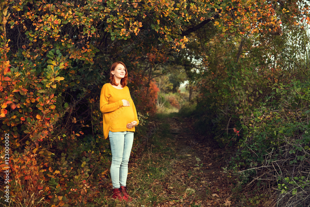 Beautiful pregnant woman in autumn. Beautiful pregnant woman in autumn.