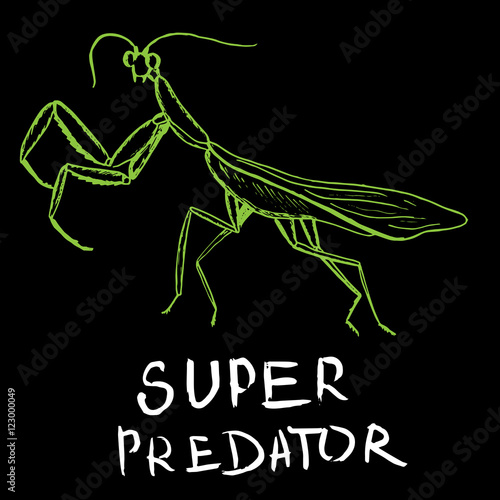 Hand drawn green mantis on black background, vector