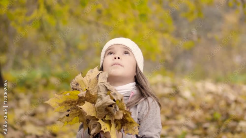 Little girl with a bouquet of autumn leaves Little girl with a bouquet of autumn leaves