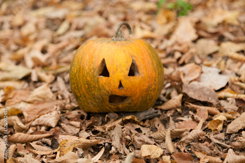 Yellow festive Halloween pumpkin lying on the leaves