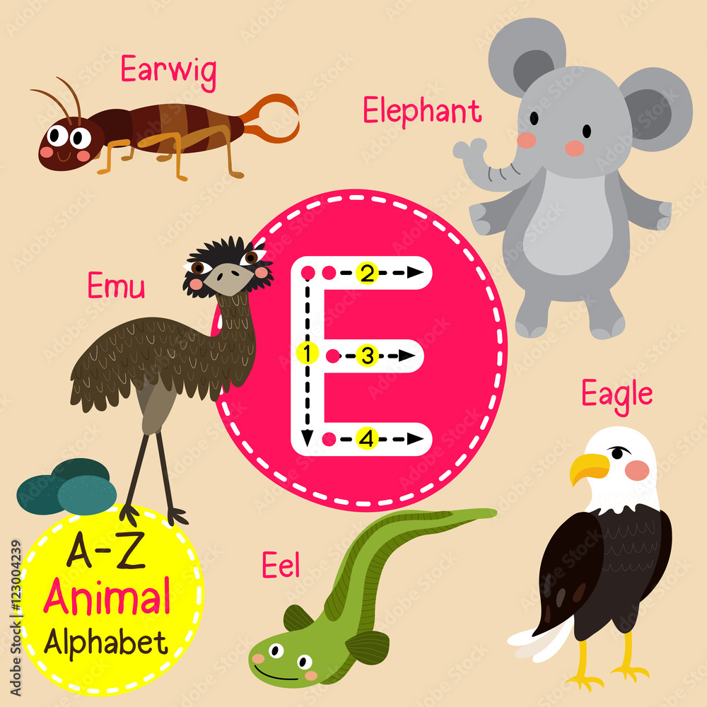E letter tracing. Eagle. Earwig. Eel. Elephant. Emu. Cute children zoo