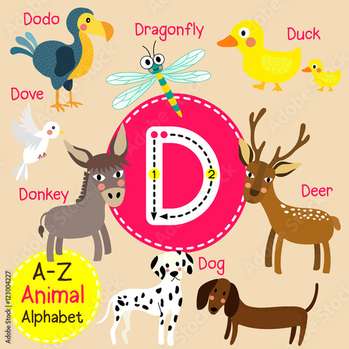 D letter tracing. Deer. Dodo. Dog. Donkey. Dove. Dragonfly. Duck. Cute children zoo alphabet flash card. Funny cartoon animal. Kids abc education. Learning English vocabulary. Vector illustration.