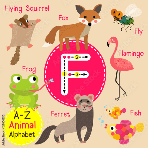F letter tracing. Ferret. Fish. Flamingo. Fly.  Fox. Frog. Cute children zoo alphabet flash card. Funny cartoon animal. Kids abc education. Learning English vocabulary. Vector illustration.