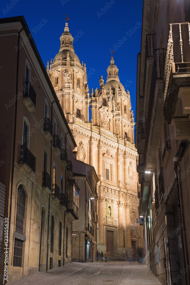 SALAMANCA, SPAIN, APRIL - 16, 2016: The baroque portal La Clerecia - Pontifical University.