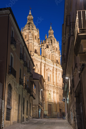 SALAMANCA, SPAIN, APRIL - 16, 2016: The baroque portal La Clerecia - Pontifical University. © Renáta Sedmáková