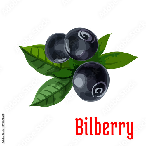 Blue bilberry fruit with green leaves cartoon icon