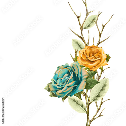 illustration of beautiful flower  on white background photo